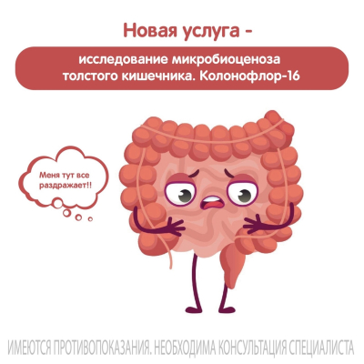 Главное изображение