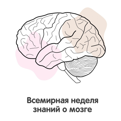 Главное изображение