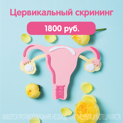 Главное изображение